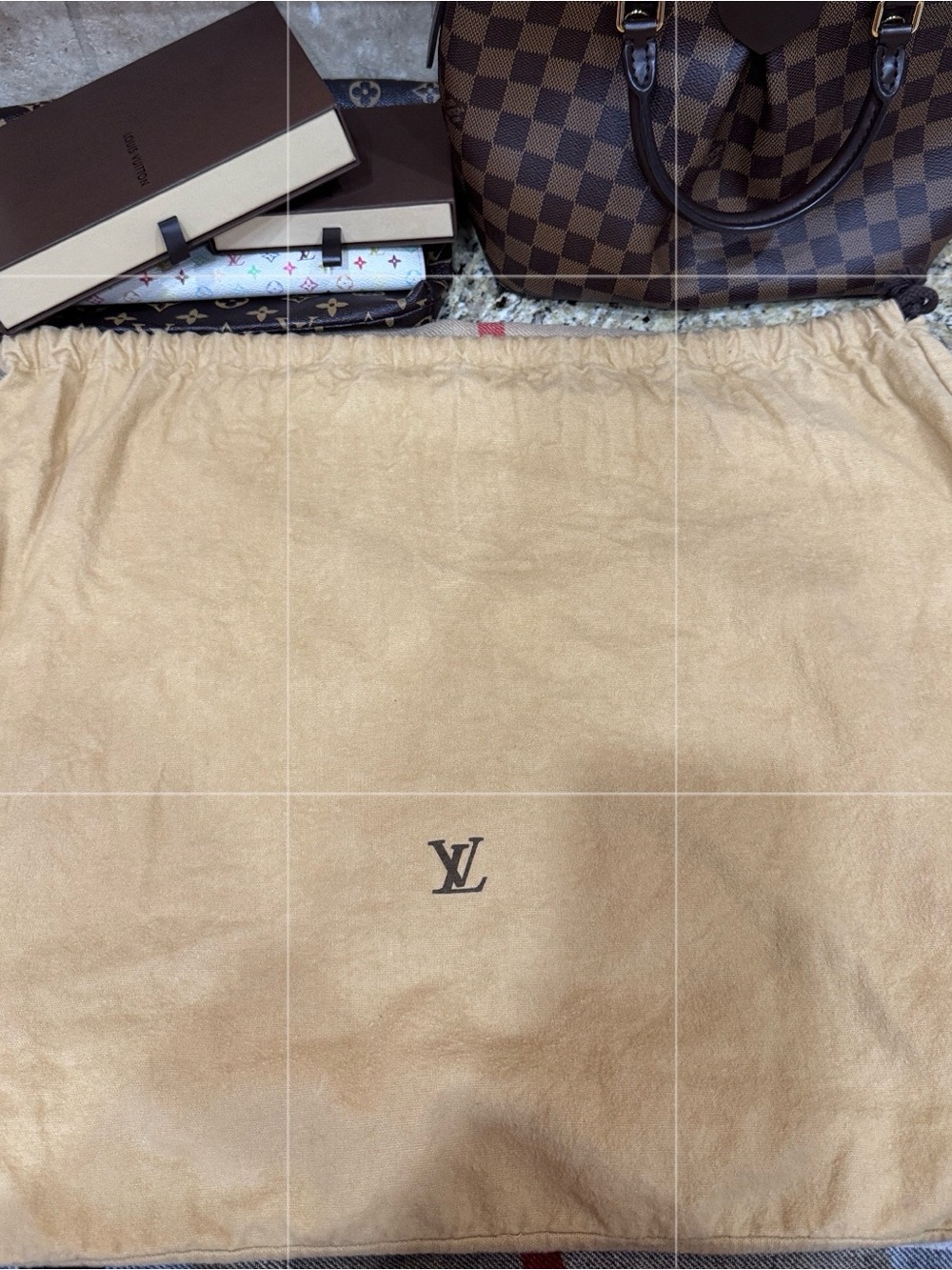 Large Louis Vuitton Dustbag